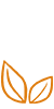 质量保证
